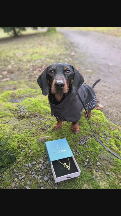 The Fine Line Dachshund Portrait – Custom Dog Outline Handcrafted Necklace