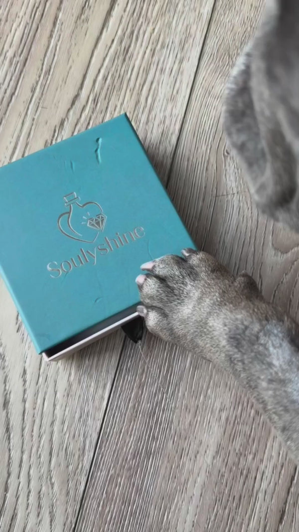 Soulyshine — Meet Your Breed — clip 1