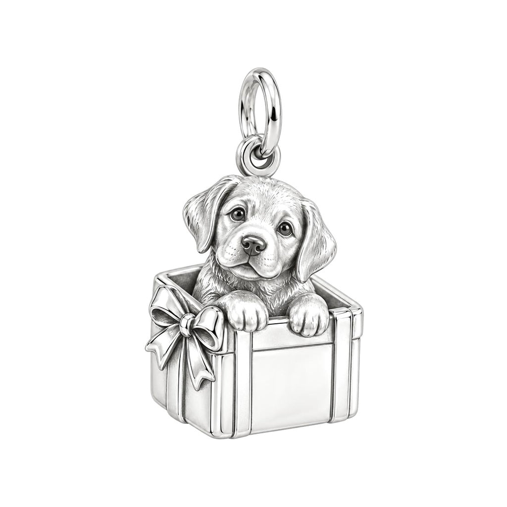 Puppy in Gift Box Charm and Polyester Cord Bracelet Set