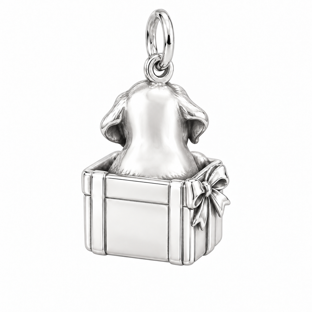 Puppy in Gift Box Charm and Polyester Cord Bracelet Set