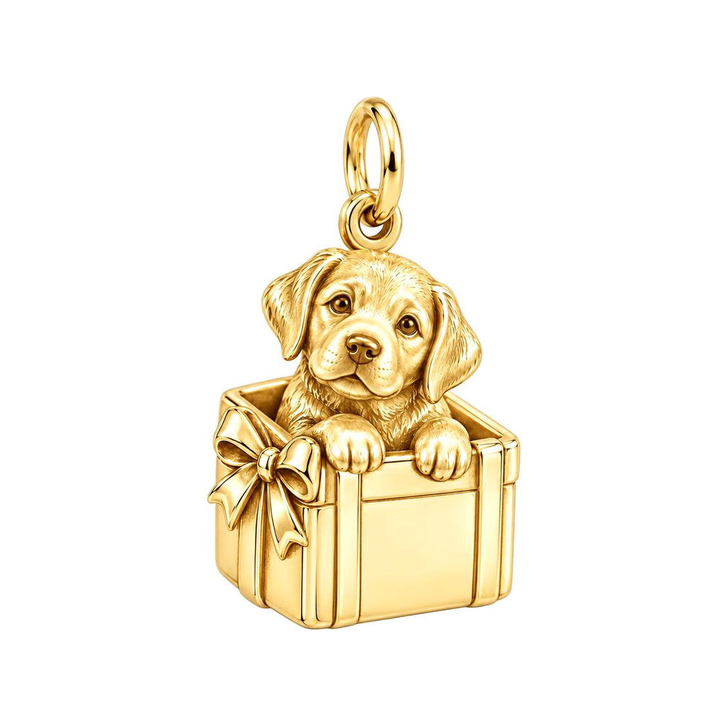 Puppy in Gift Box Charm and Polyester Cord Bracelet Set