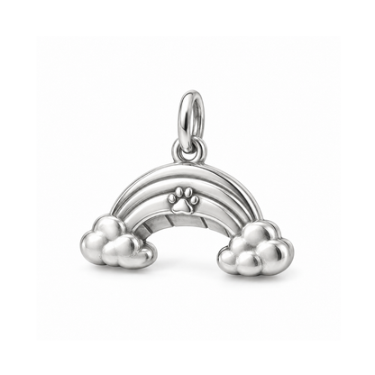 Rainbow Reunion Charm — Silver | charm-topics-remaining-444-2026-09-14 | topic-432