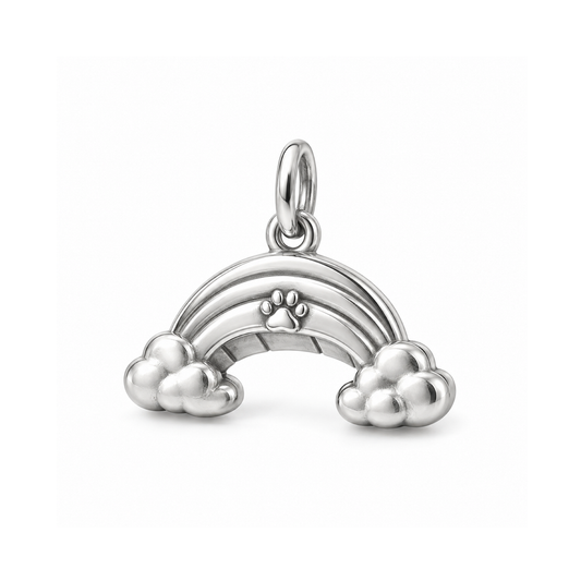 Rainbow Reunion Charm — Silver | charm-topics-remaining-444-2026-09-14 | topic-432