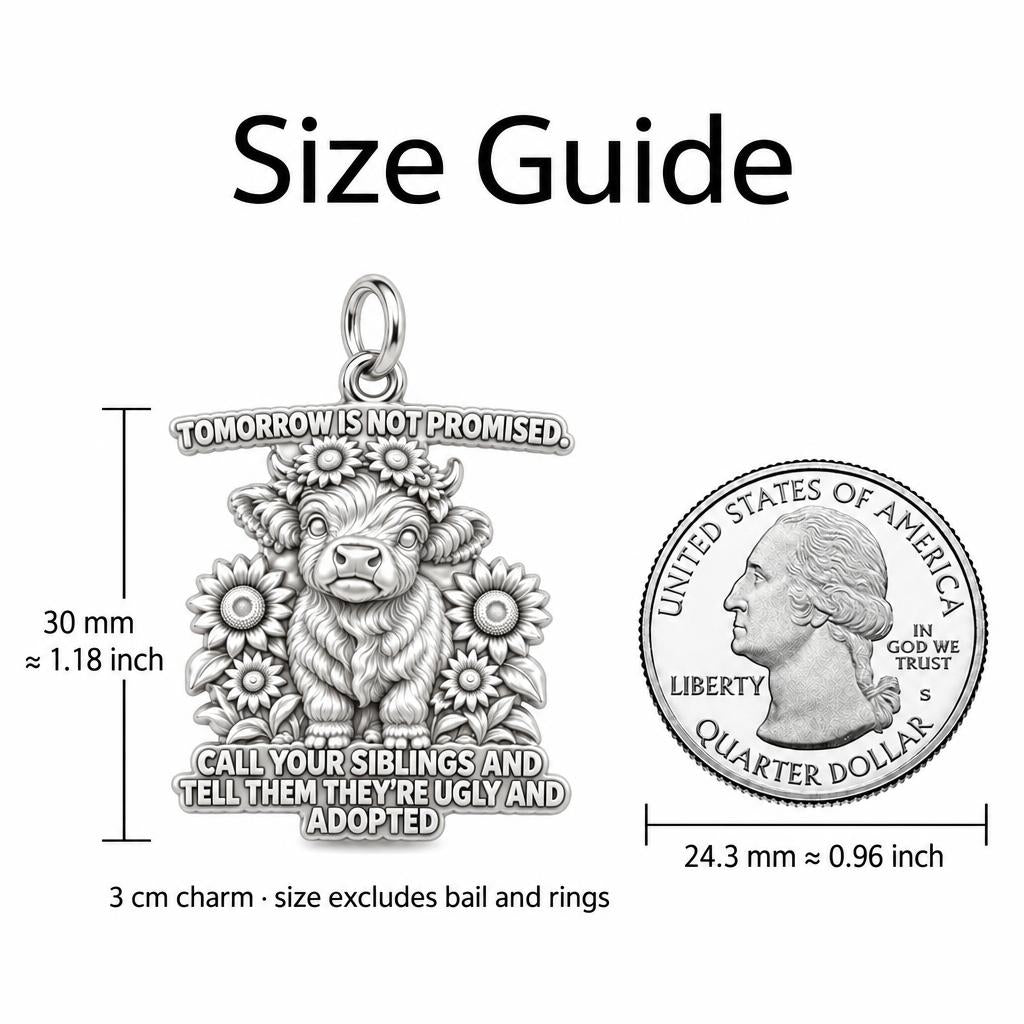 Sassy Highland Cow Charm Bracelet – Personalized Sibling Gift – size guide, 3 cm charm next to a quarter