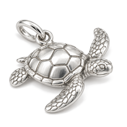 Sea Turtle Charm — Silver Super Macro | charm-topics-remaining-444-2026-09-14 | topic-018