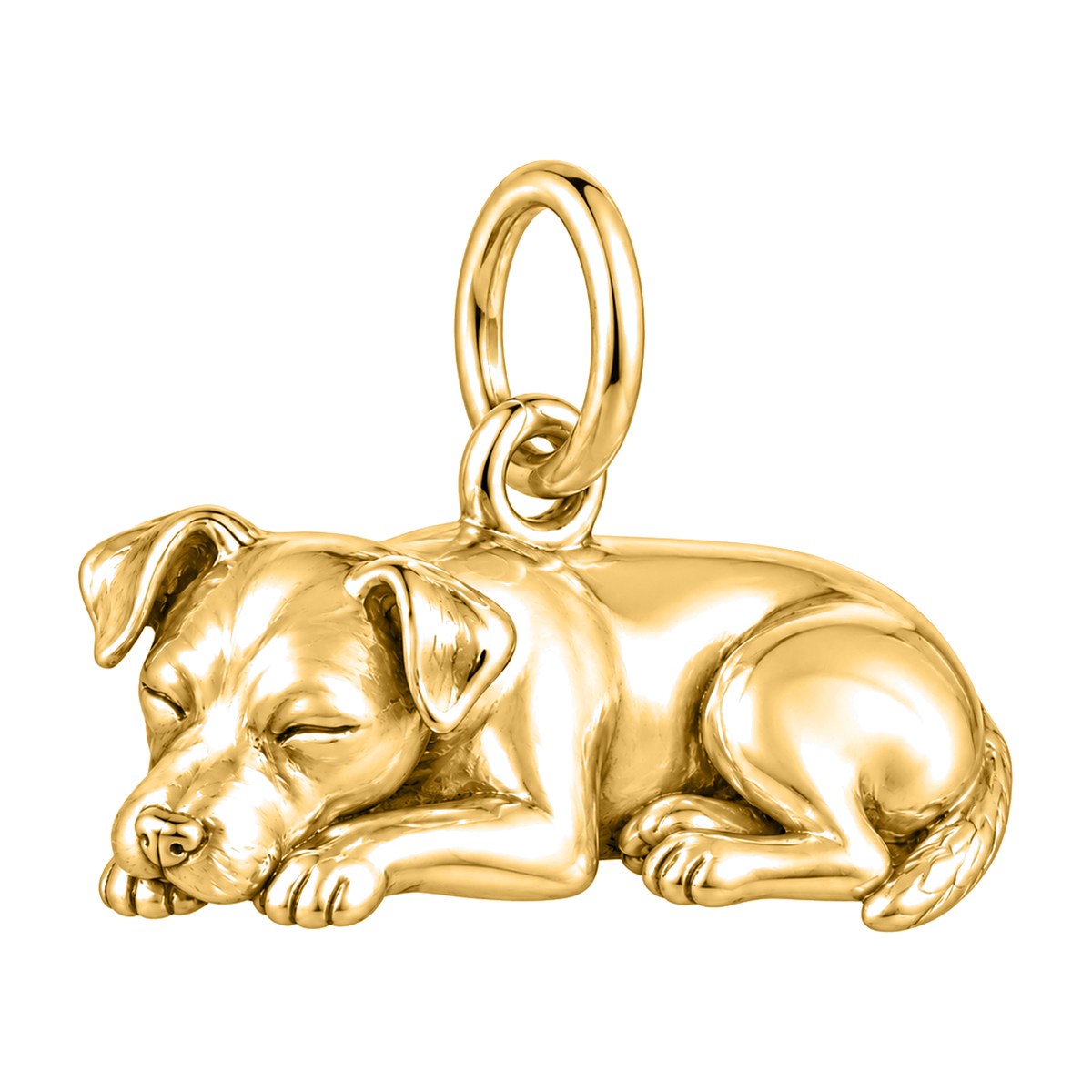 Jack Russell Terrier — Sleeping Dog Charm and Polyester Cord Bracelet Set — Gold
