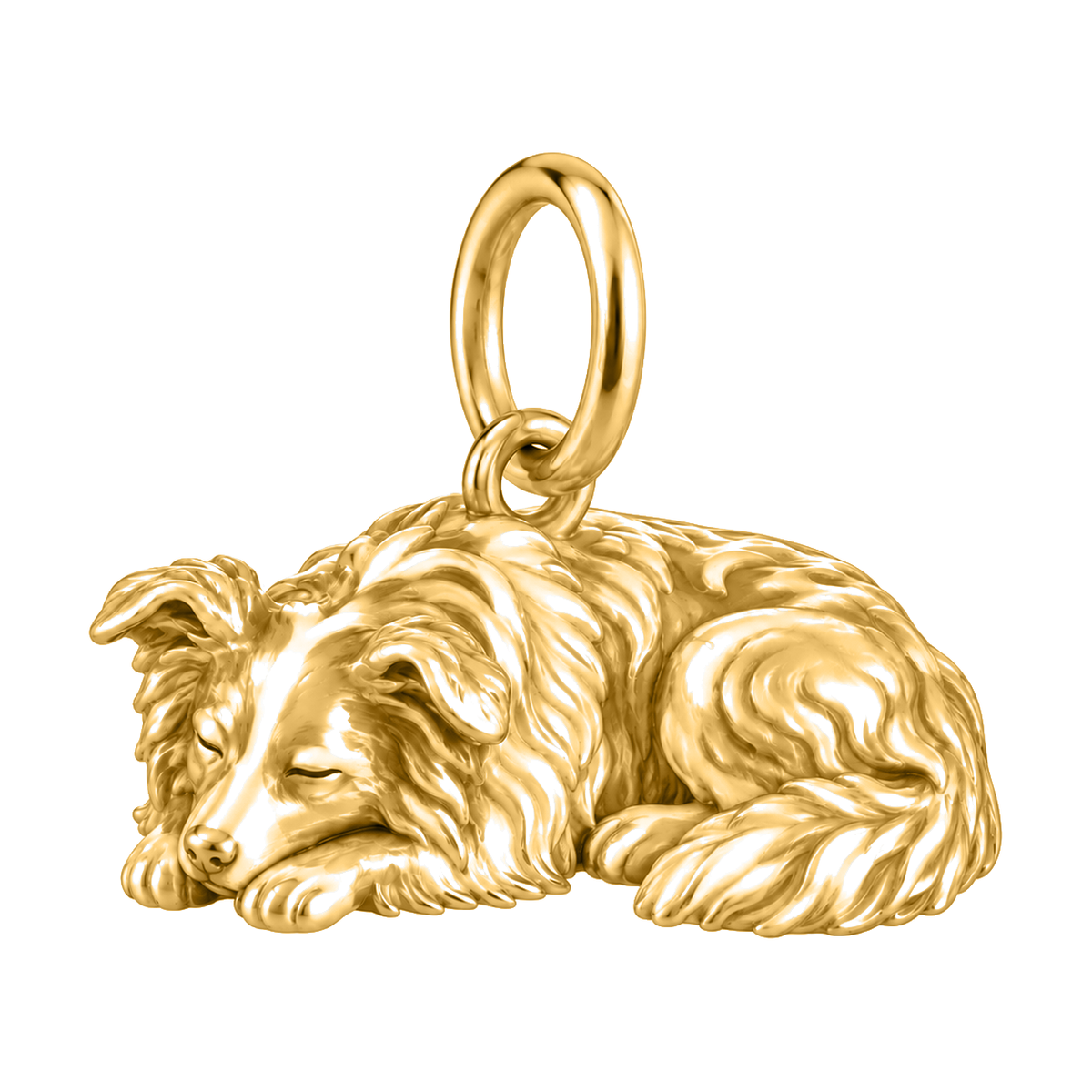 Border Collie - rough coat — Sleeping Dog Charm and Polyester Cord Bracelet Set — Gold