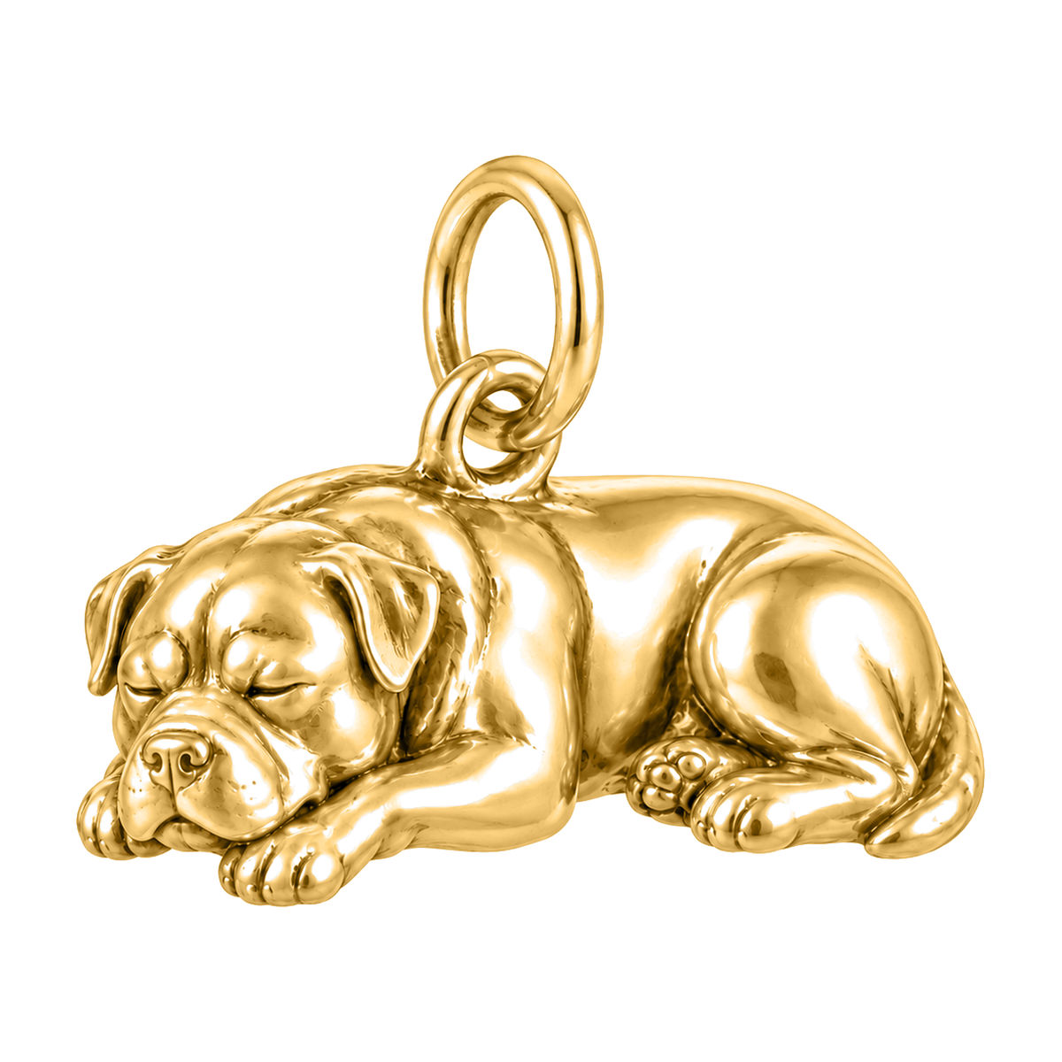 Rottweiler — Sleeping Dog Charm and Polyester Cord Bracelet Set — Gold