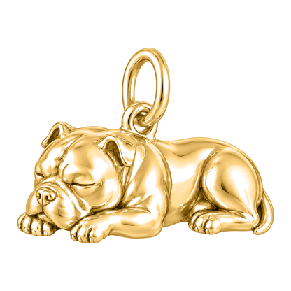 American Bully — Sleeping Dog Charm and Polyester Cord Bracelet Set — Gold