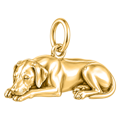 Rhodesian Ridgeback — Sleeping Dog Charm and Polyester Cord Bracelet Set — Gold