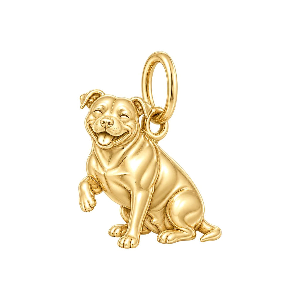 Smiling Pittie Paws Charm and Polyester Cord Bracelet Set