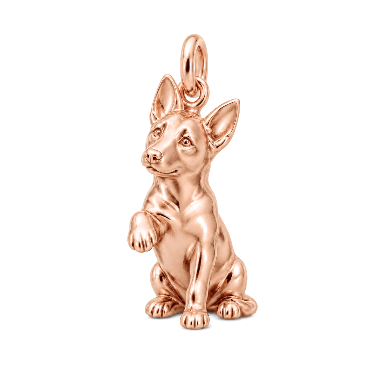 Belgian Malinois — My Baby Charm and Polyester Cord Bracelet Set — Rose Gold