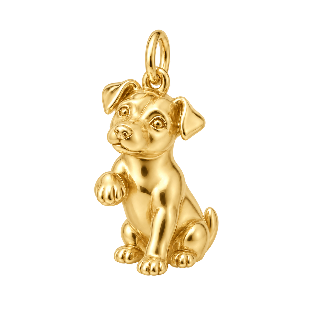 Jack Russell Terrier — My Baby Charm and Polyester Cord Bracelet Set — Gold