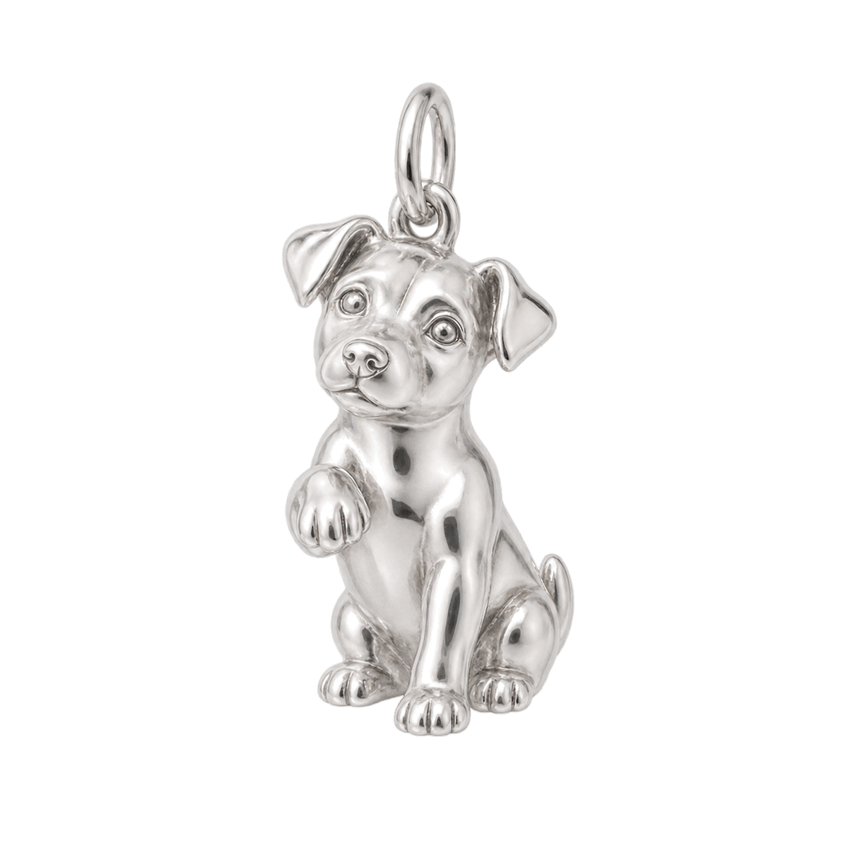 Jack Russell Terrier — My Baby Charm and Polyester Cord Bracelet Set — Silver
