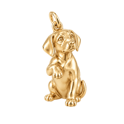 Rhodesian Ridgeback — My Baby Charm and Polyester Cord Bracelet Set — Gold
