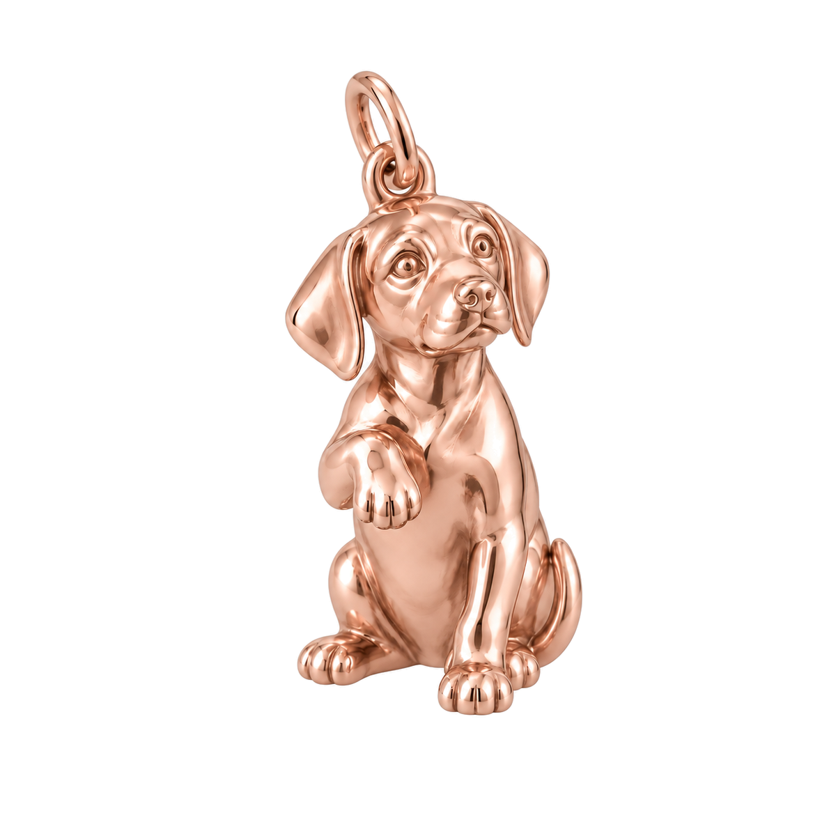 Rhodesian Ridgeback — My Baby Charm and Polyester Cord Bracelet Set — Rose Gold