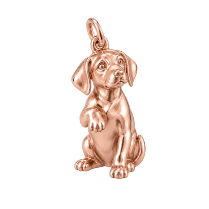 Rhodesian Ridgeback — My Baby Charm and Polyester Cord Bracelet Set — Rose Gold