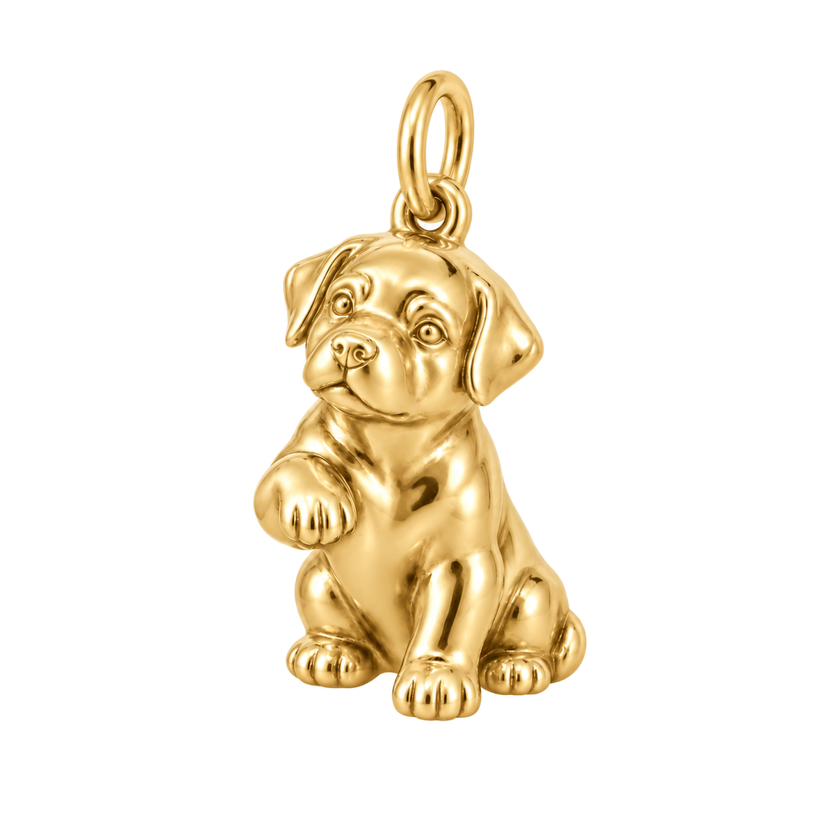 Rottweiler — My Baby Charm and Polyester Cord Bracelet Set — Gold