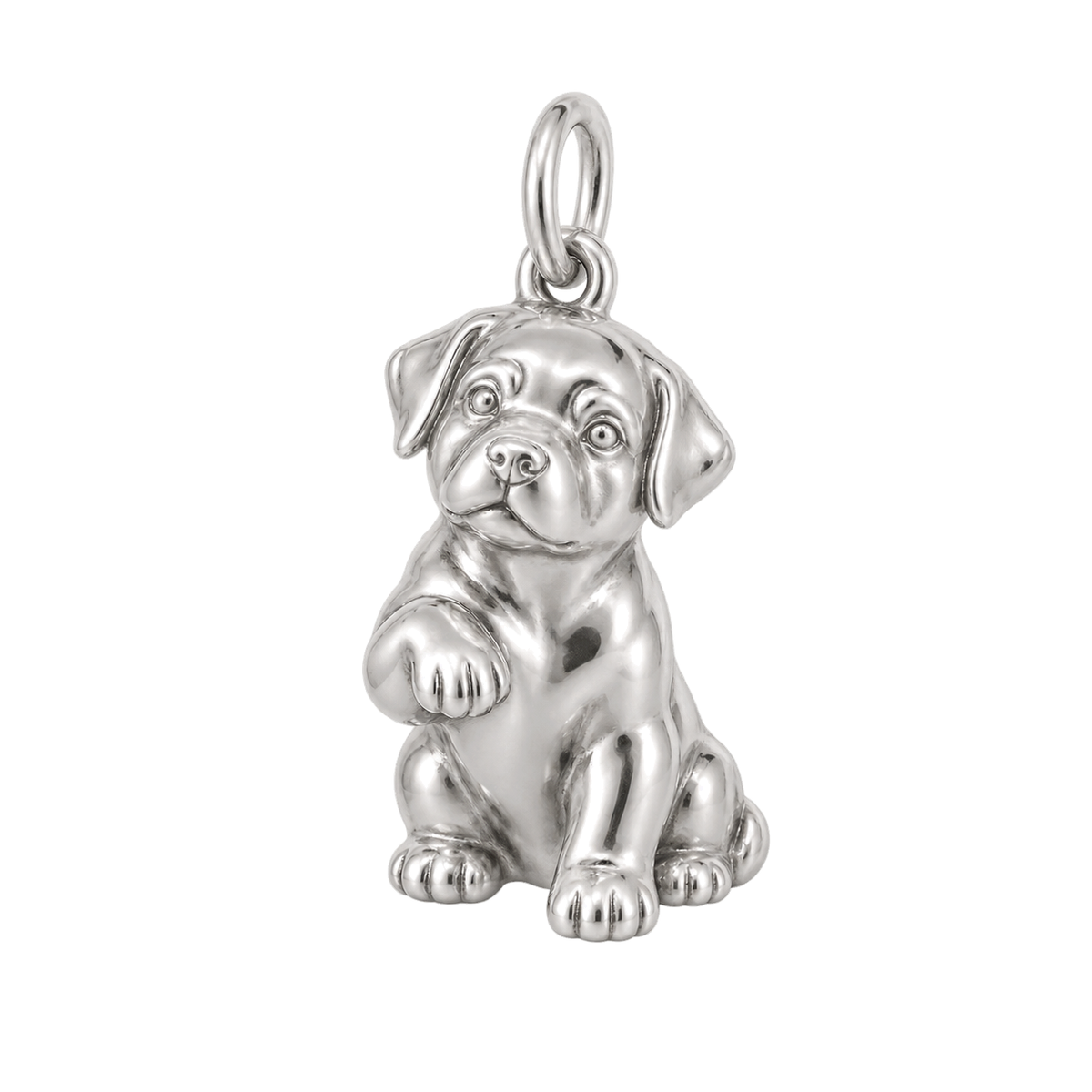 Rottweiler — My Baby Charm and Polyester Cord Bracelet Set — Silver