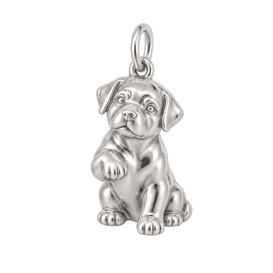 Rottweiler — My Baby Charm and Polyester Cord Bracelet Set — Silver