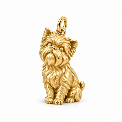 Affenpinscher — The Way You Look at Me Every Day Charm — Gold