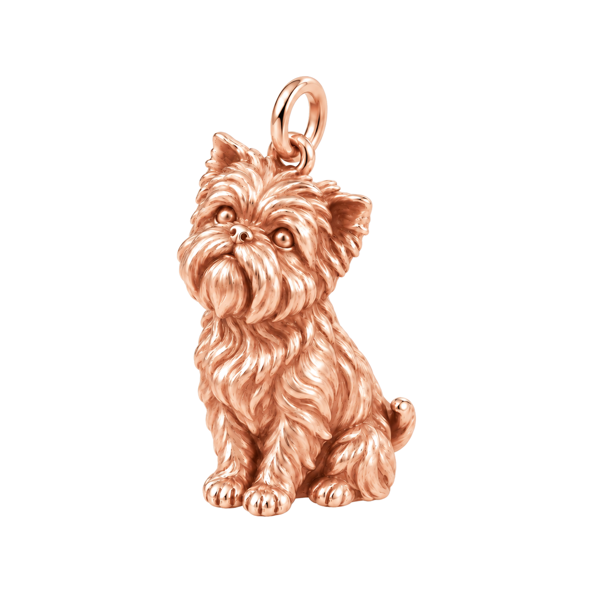 Affenpinscher — The Way You Look at Me Every Day Charm — Rose Gold