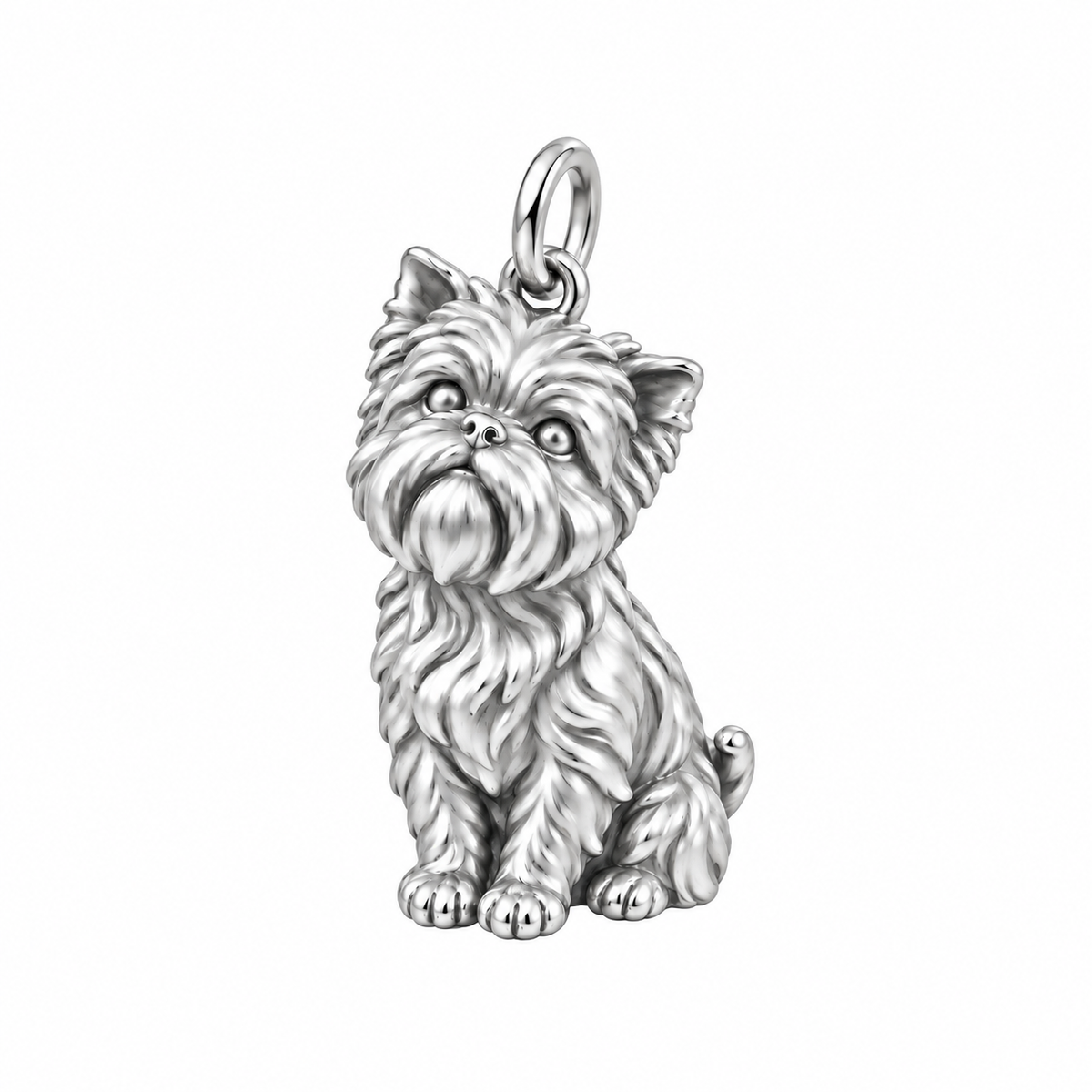 Affenpinscher — The Way You Look at Me Every Day Charm — Silver