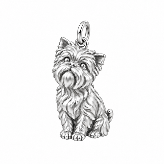 Affenpinscher — The Way You Look at Me Every Day Charm — Silver