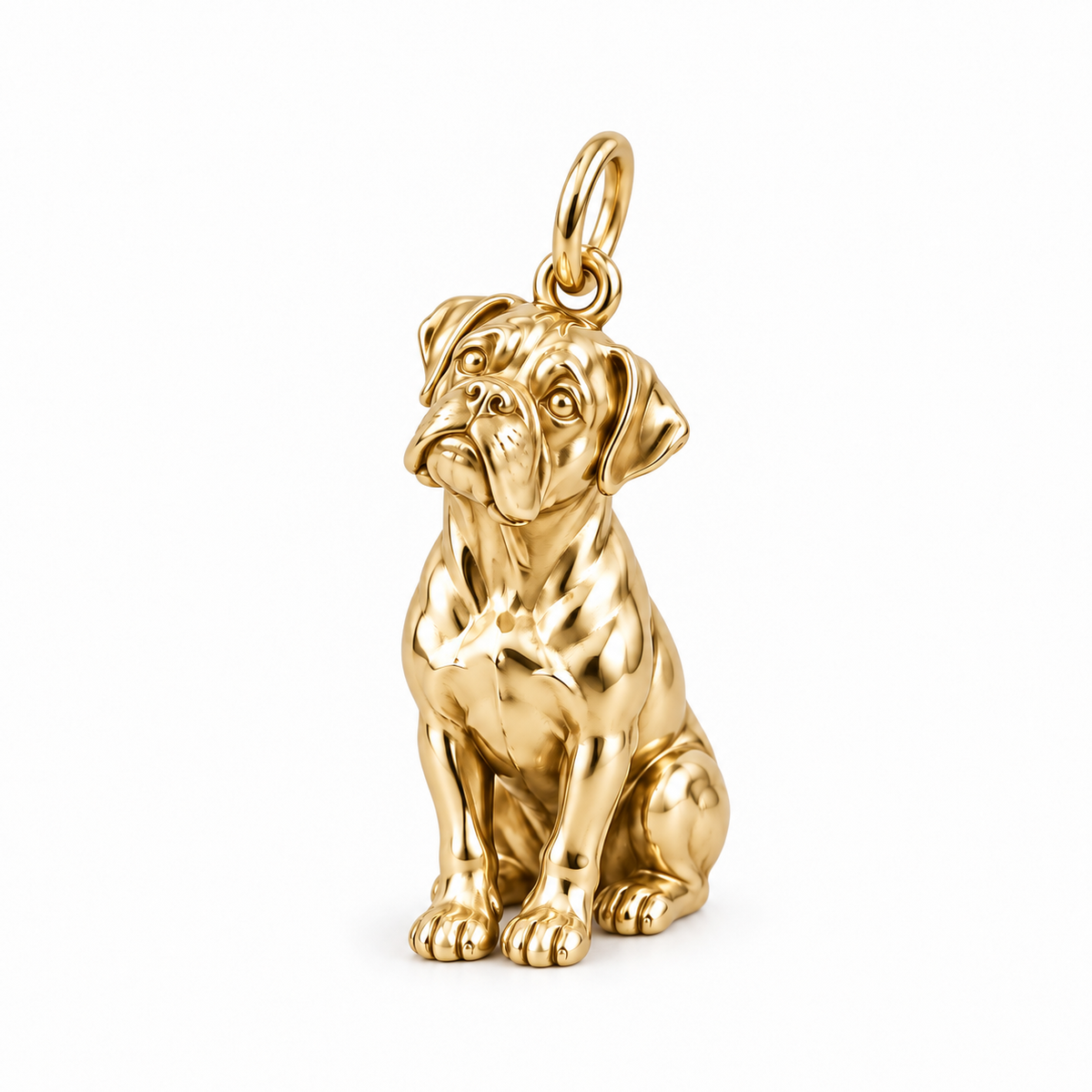 Boxer — The Way You Look at Me Every Day Charm — Gold
