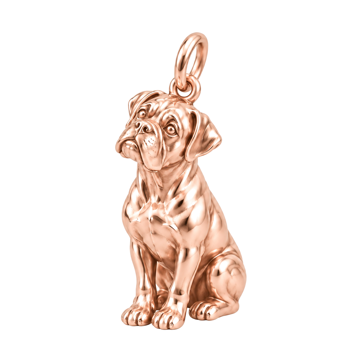 Boxer — The Way You Look at Me Every Day Charm — Rose Gold