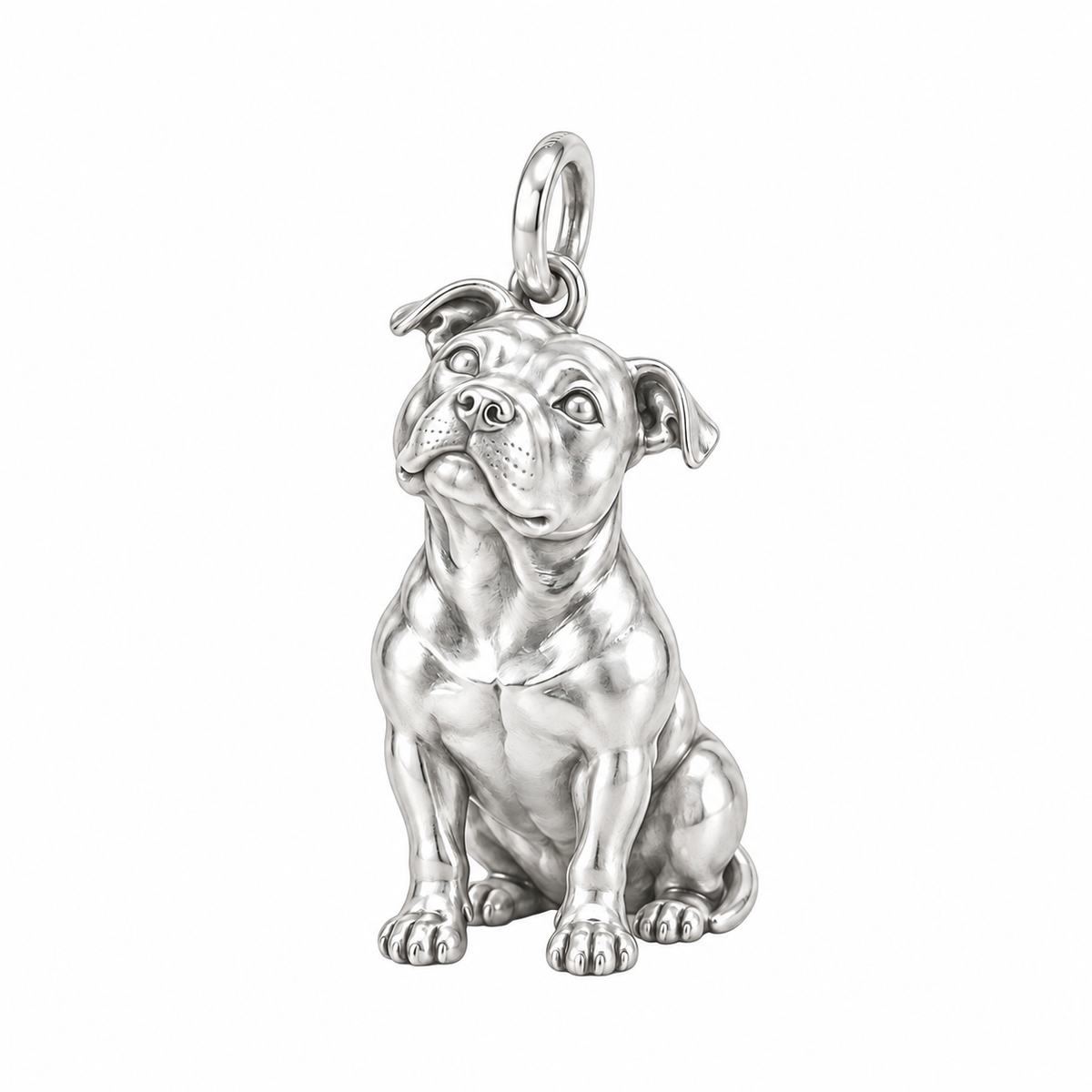 Pit Bull — The Way You Look at Me Every Day Charm — Silver