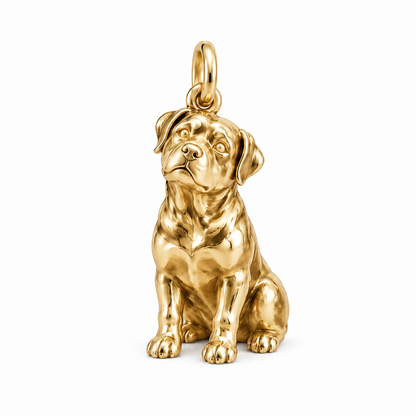 Rottweiler — The Way You Look at Me Every Day Charm — Gold