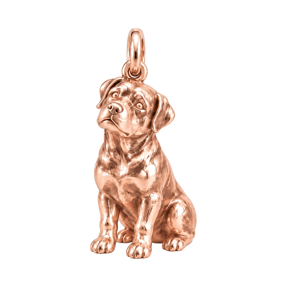 Rottweiler — The Way You Look at Me Every Day Charm — Rose Gold