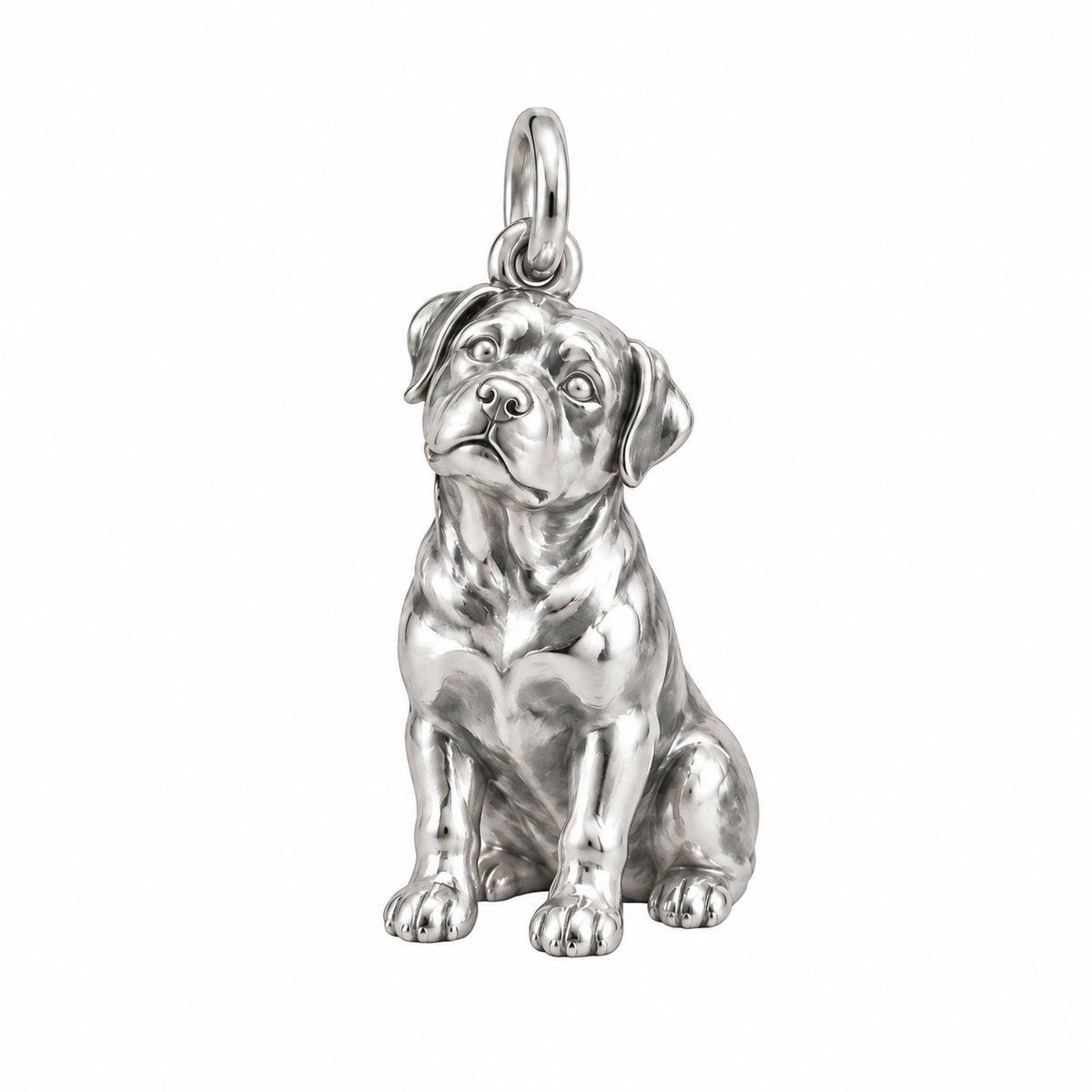 Rottweiler — The Way You Look at Me Every Day Charm — Silver