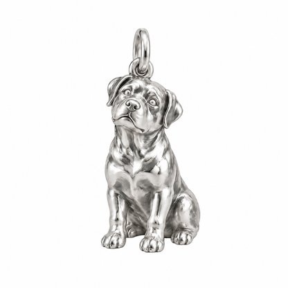 Rottweiler — The Way You Look at Me Every Day Charm — Silver