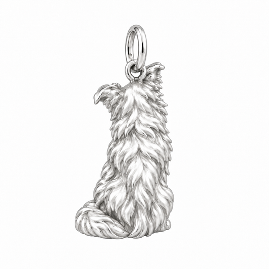 Border Collie - rough coat — Back view (silver reference)