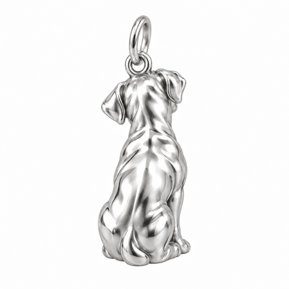 Boxer — Back view (silver reference)