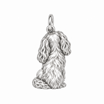 Cavalier King Charles Spaniel — Back view (silver reference)