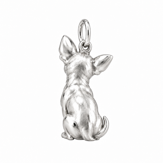 Chihuahua - short hair — Back view (silver reference)
