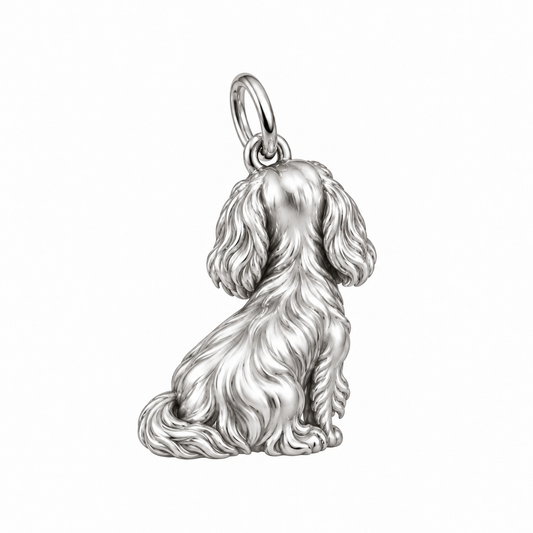 Dachshund - longhair — Back view (silver reference)