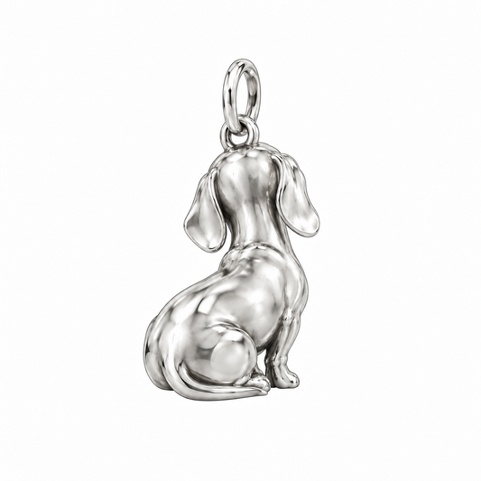 Dachshund - smooth coat — Back view (silver reference)