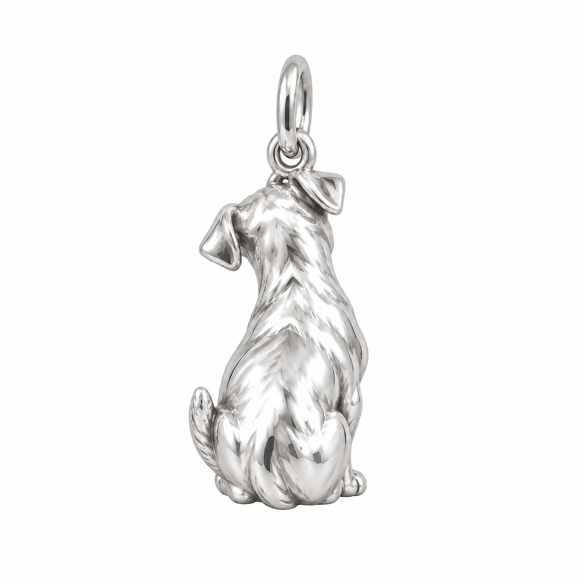 Jack Russell Terrier — Back view (silver reference)