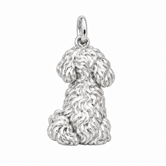 Maltipoo — Back view (silver reference)