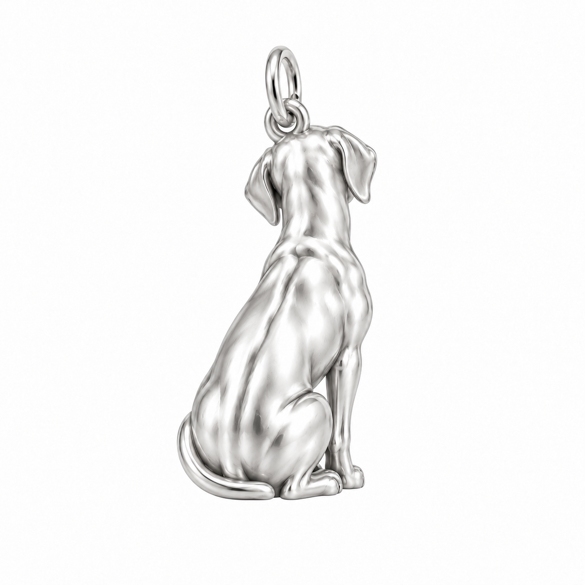 Rhodesian Ridgeback — Back view (silver reference)
