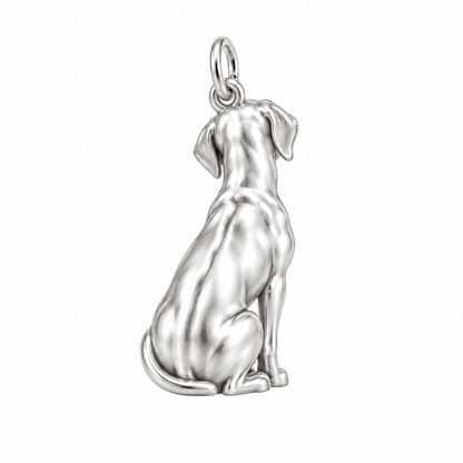 Rhodesian Ridgeback — Back view (silver reference)