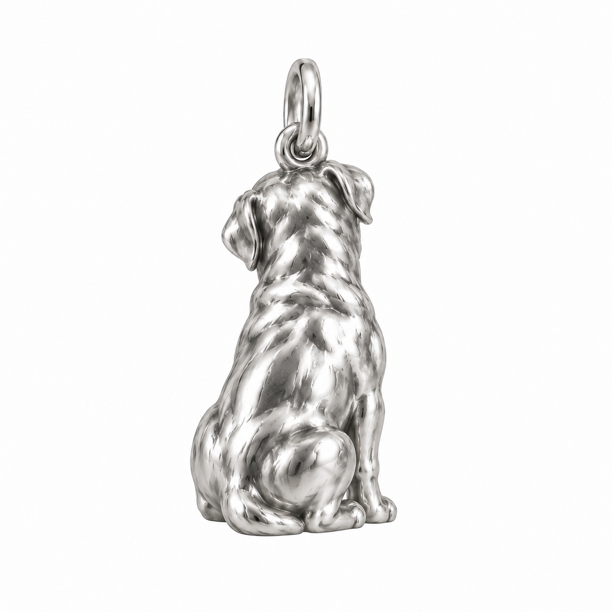 Rottweiler — Back view (silver reference)