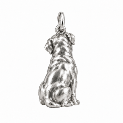 Rottweiler — Back view (silver reference)
