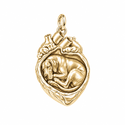 Great Dane - natural ears — In My Heart Sleeping Pet Charm and Polyester Cord Bracelet Set — Gold