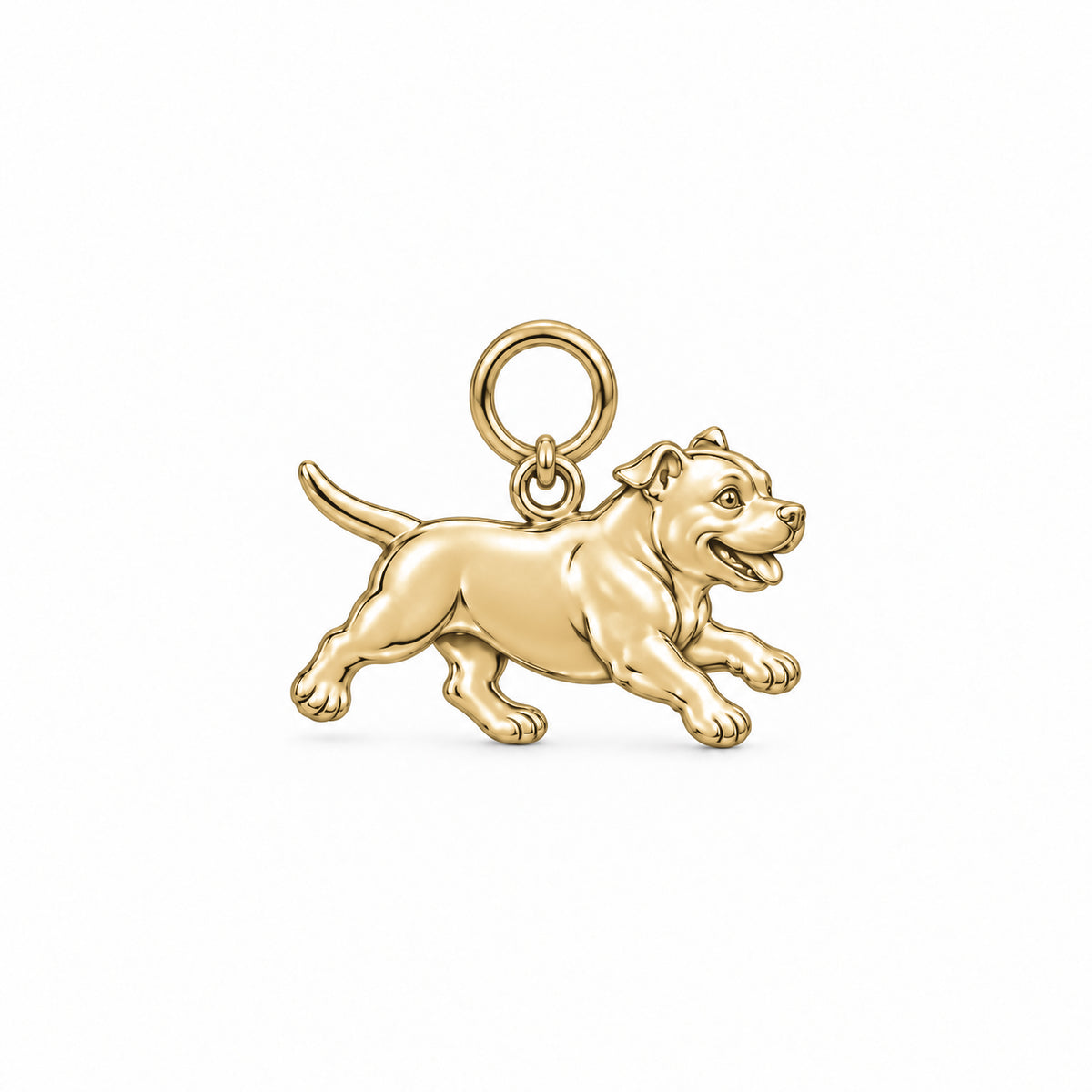 American Bully — Little Joy Charm and Polyester Cord Bracelet Set — Gold