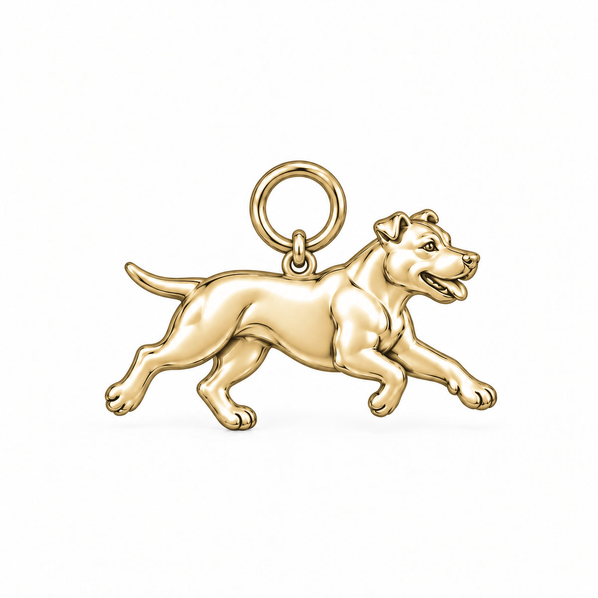 American Staffordshire Terrier — Little Joy Charm and Polyester Cord Bracelet Set — Gold